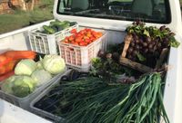 Con un protocolo de seguridad, productores locales vendieron mas de 500 kilos de comida