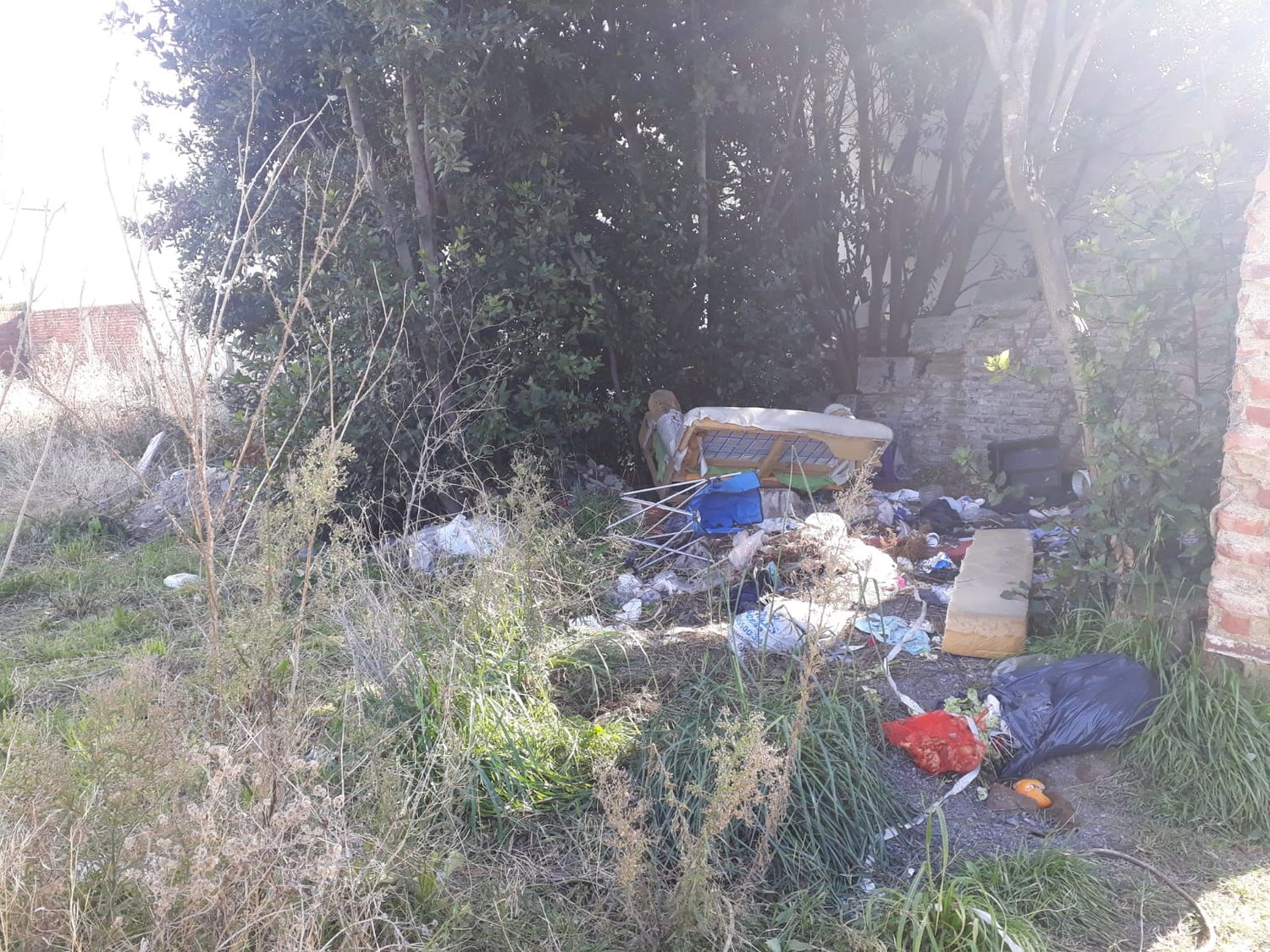 Mi queja basura pasaje 1 de Mayo - 1