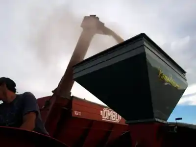 Una parte de las “retenciones cero” mejoró el precio a los productores