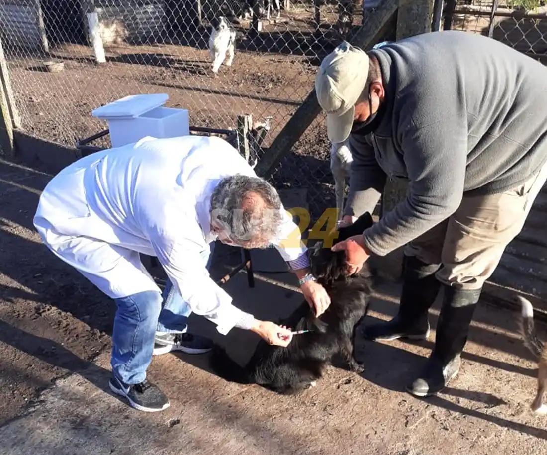 Villa Cañás: campaña gratuita de vacunación antirrábica