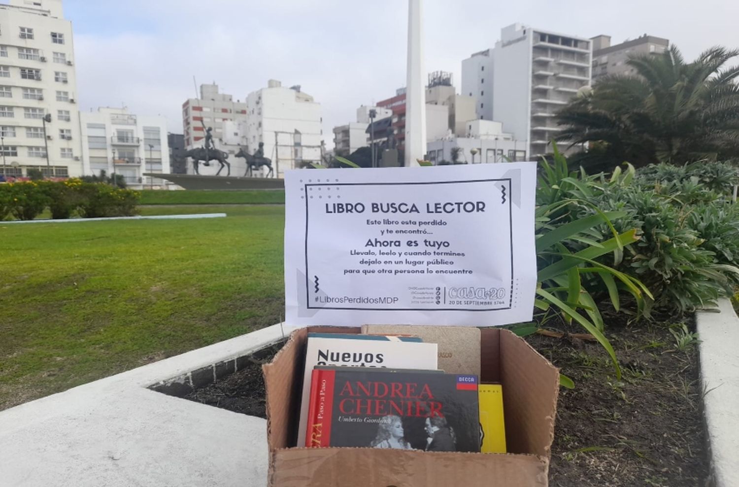 La ONG Casa de 20 recibe la primavera y festeja los 6 años de su Siembra de Libros