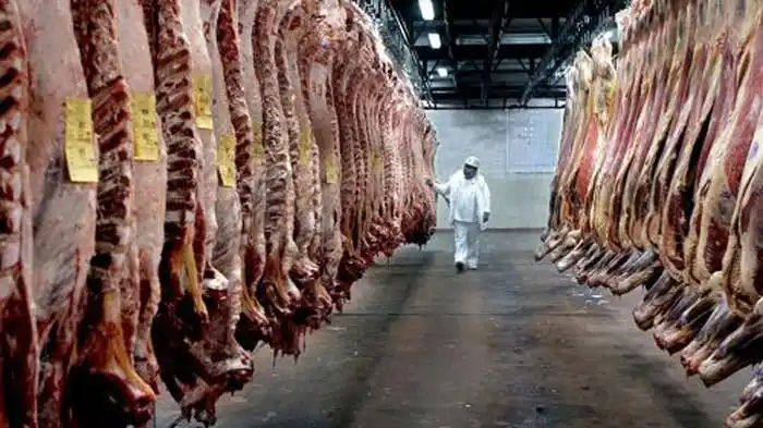 El Gobierno prorrogó hasta fin  de octubre las restricciones  para exportar carne