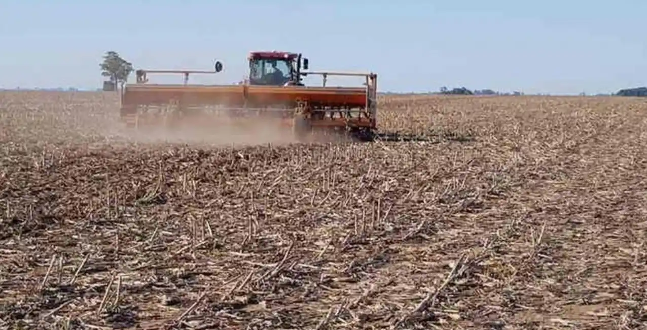 Entre Ríos: declararon la emergencia agropecuaria