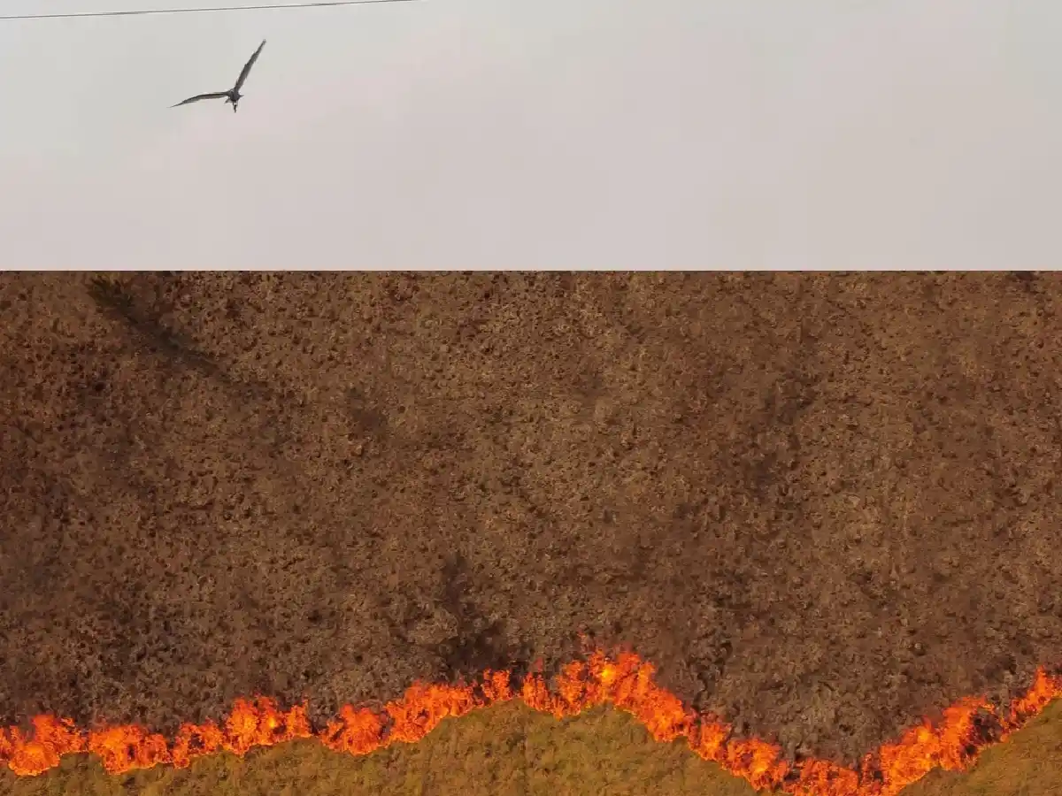 Incendios: Valdés pidió ayuda a Estados Unidos y declarará "zona de desastre" a Corrientes