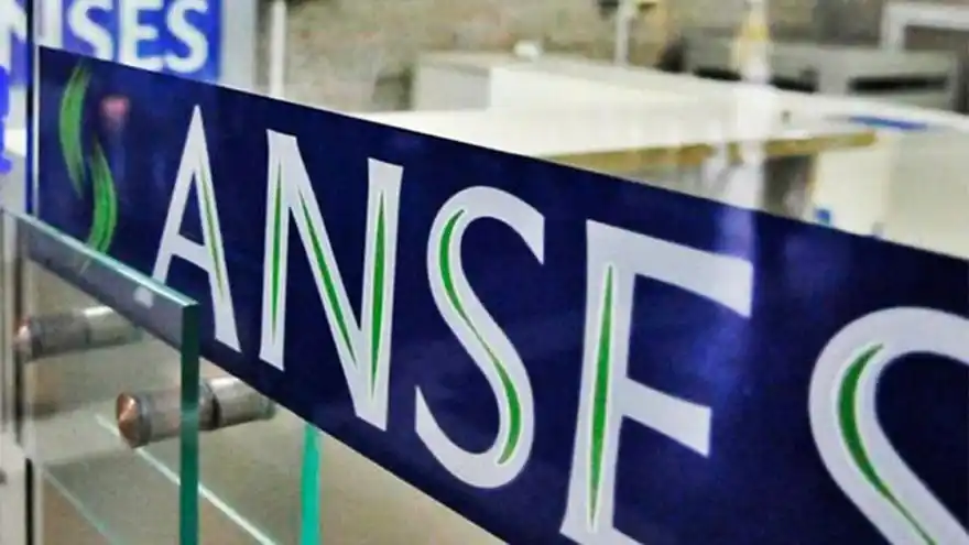 La Defensoría del Pueblo solicita incrementar los turnos en Anses