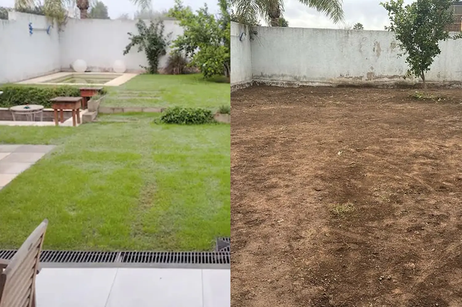 Hizo mejoras en la casa alquilada y, como el dueño no las reconoció, tapó la pileta y se llevó hasta el limonero
