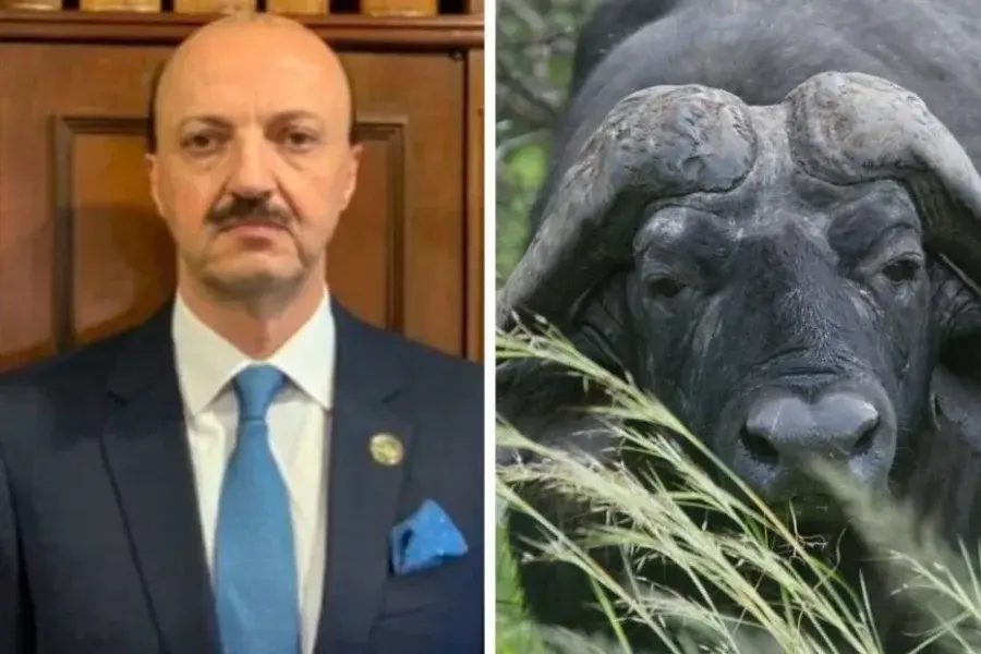 Embestida mortal: el presidente de una Federación de Caza murió en Entre Ríos intentando cazar a un búfalo