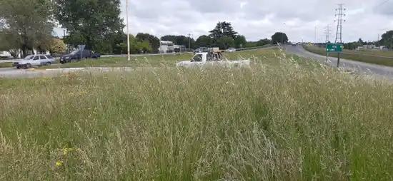 Preocupación vecinal por falta de mantenimiento del acceso a la ciudad de Tandil: pastos altos y poca iluminación