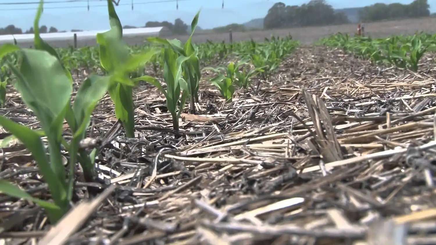 Dónde estamos y hacia dónde vamos en Conservación de Suelos en Entre Ríos