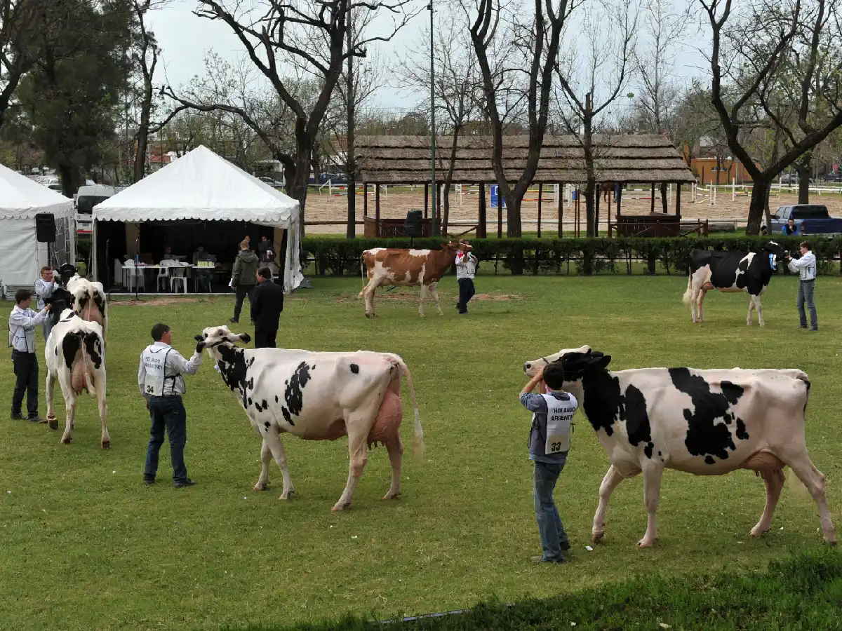 La Rural piensa en una expo solo agropecuaria en octubre