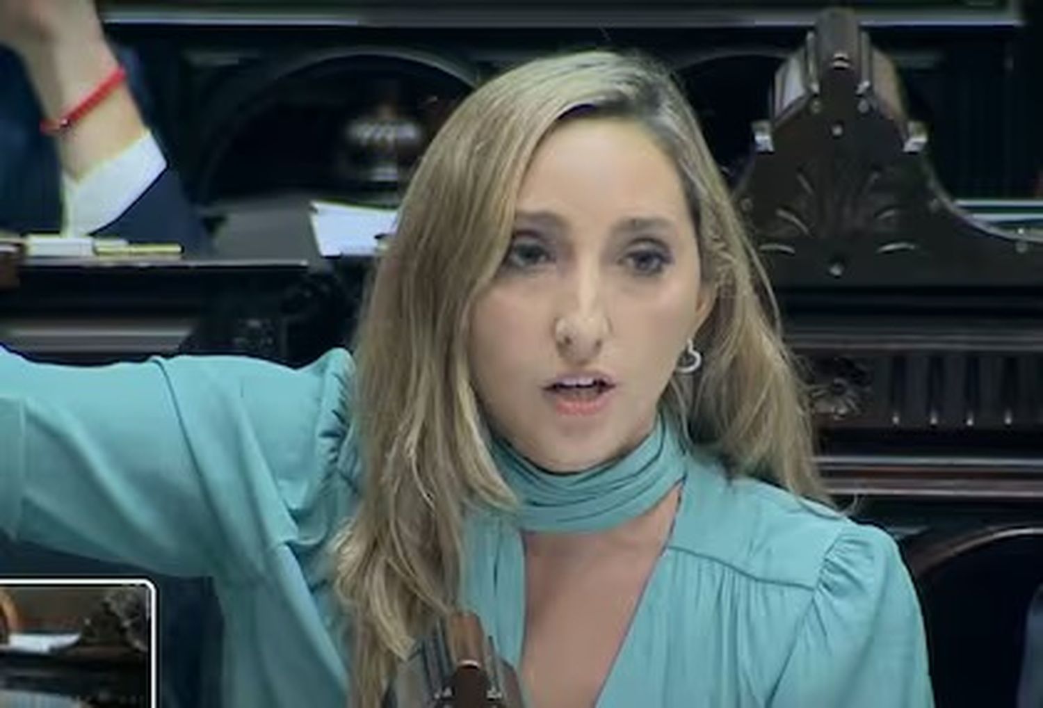 Indignación de la diputada Julia Strada por la aprobación del capítulo que permite privatizar empresas públicas