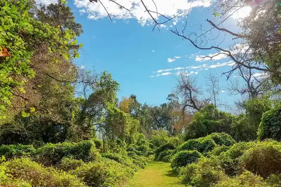 Turismo de Naturaleza: Se realizará jornada sobre Patrimonio Natural Entrerriano en Galarza