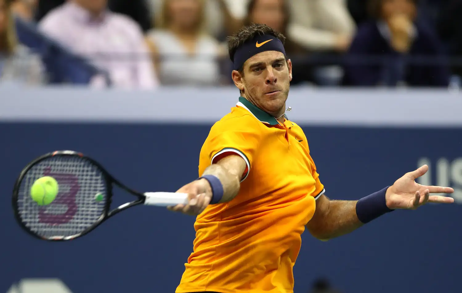 Para Wilander, “Del Potro debe mejorar en lo táctico”