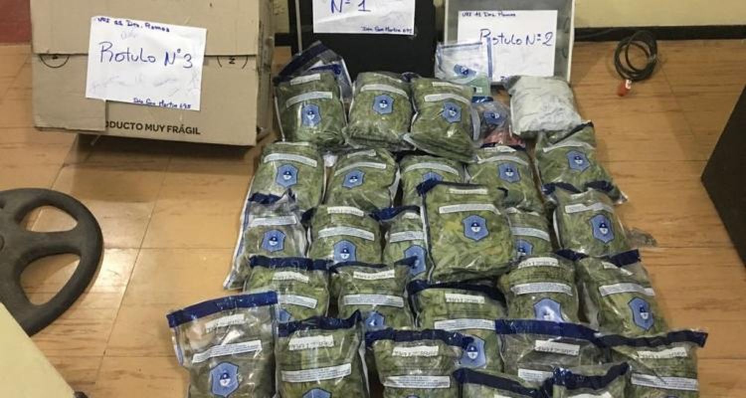 Solicitaron la detención del joven que tenía 9 kilos en plantas de marihuana en el patio