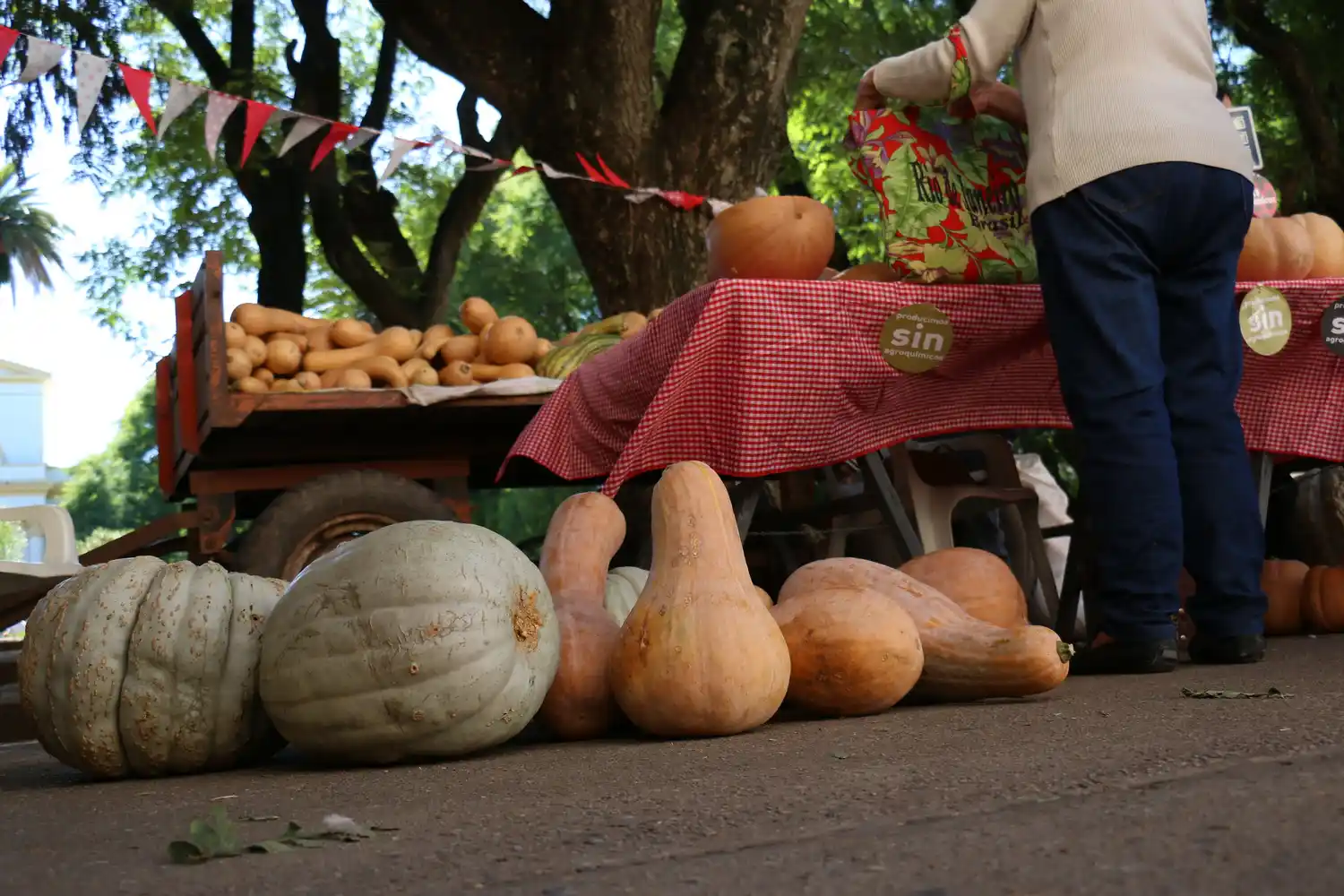 Vuelve la feria Frutos de la Tierra y el Río, con protocolo y distanciamiento