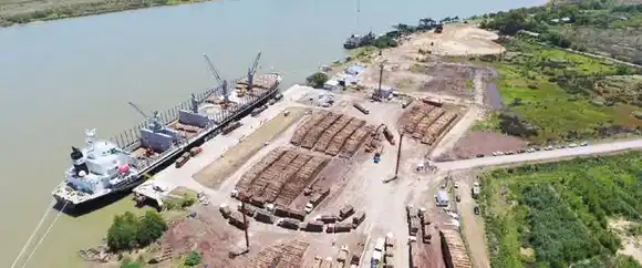 En Ibicuy amarraron 15 buques que se llevaron casi 500.000 toneladas de madera a China