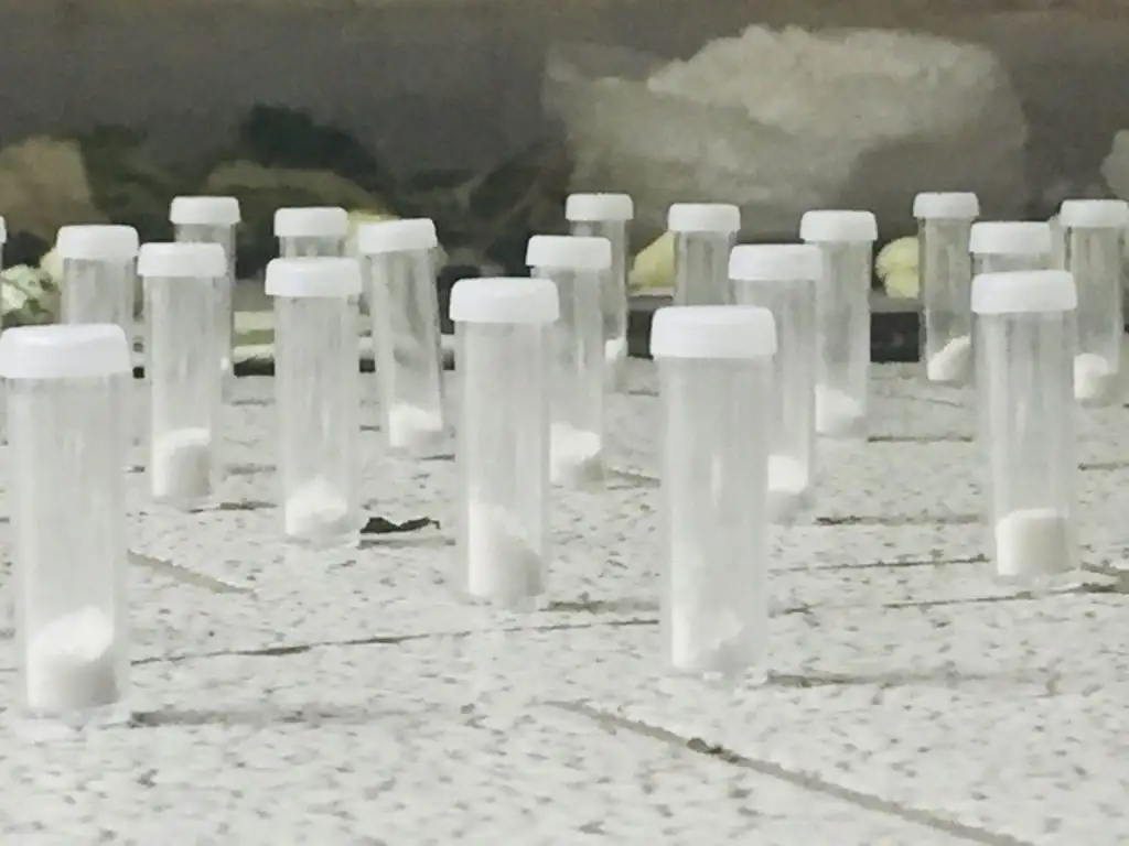 Desarticularon una banda narco vinculada con un clan que operaba en Bolivia y Perú