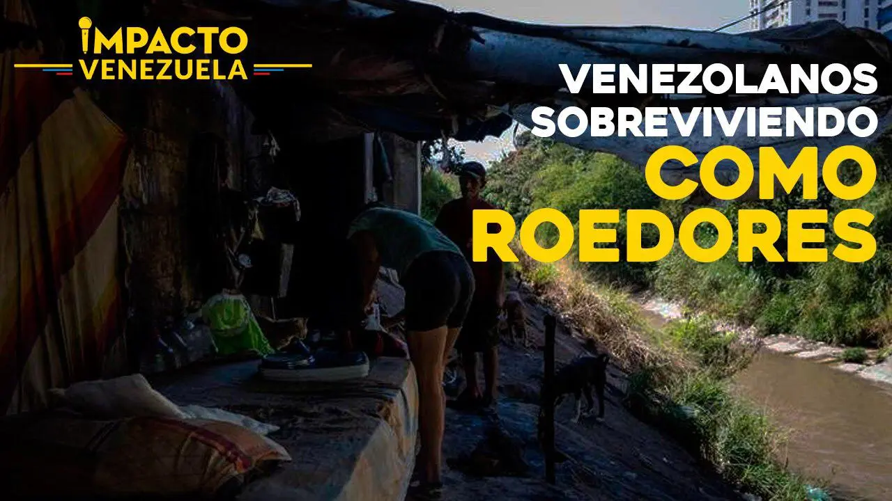 ¡Venezolanos subterráneos! Una nueva manera de vivir