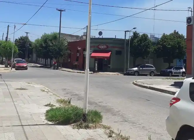 La fiscala Viviani investiga si los perros que atacaron a una mujer en Rivadavia y Obligado tienen propietario