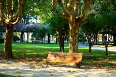 De mi muy lejana juventud