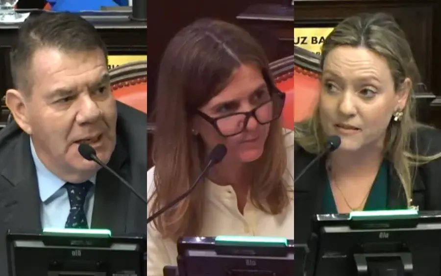 Guillermo Montenegro, del PRO, Fernanda Raverta, de La Cámpora, y Cecilia Martínez, de LLA.