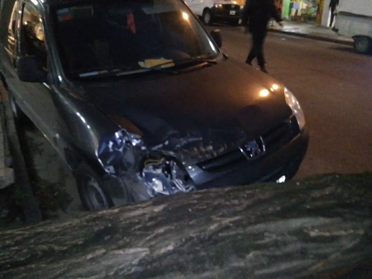 Por el fuerte viento, cayeron árboles en el centro