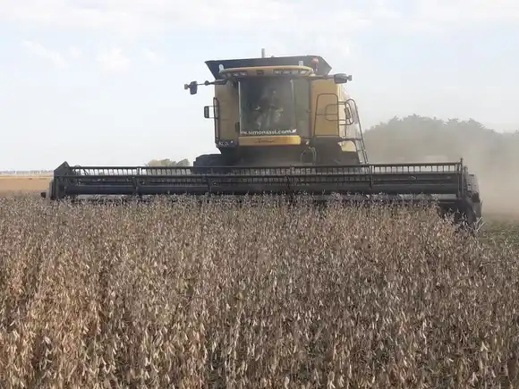 Los exportadores de granos niegan especulación y muestran una liquidación de divisas de USD 2.524 millones en abril