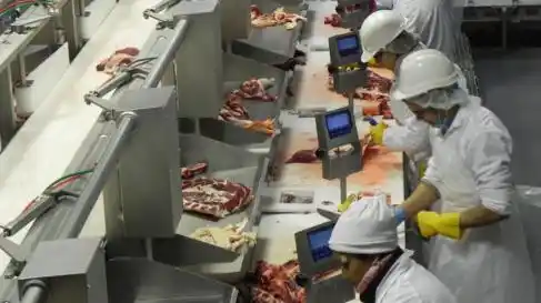 Partió el primer embarque de carne vacuna argentina en la historia a Japón 