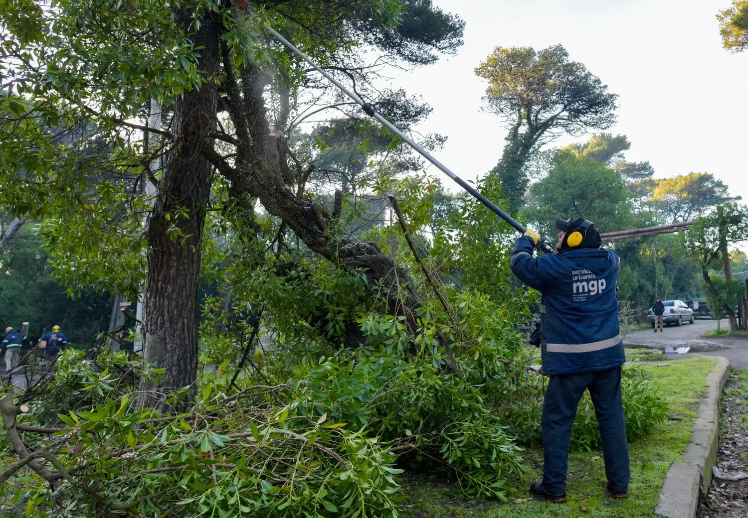 Entre los lugares intervenidos se destacan los parques Primavesi y San Martín, así como numerosas plazas.