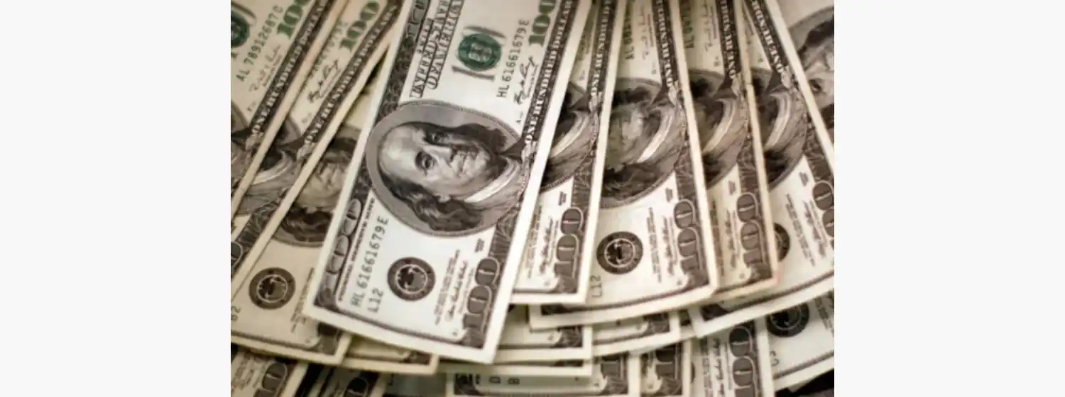 ¿Es posible la dolarización en Argentina? Esta es la propuesta de un economista