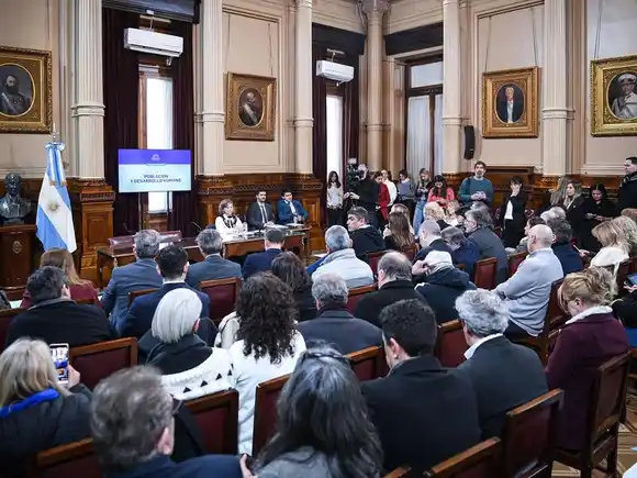 Traspie del Gobierno en Senado. Radicales y Peronistas emiten dictamen