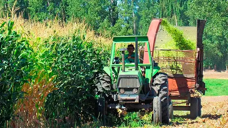 Trabajadores rurales acordaron un aumento salarial de 32% en dos tramos