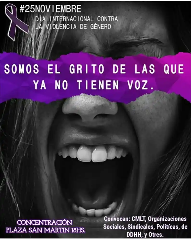 En Formosa sufren violencia de género, en promedio, 60 a 80 mujeres por semana y 300 por mes