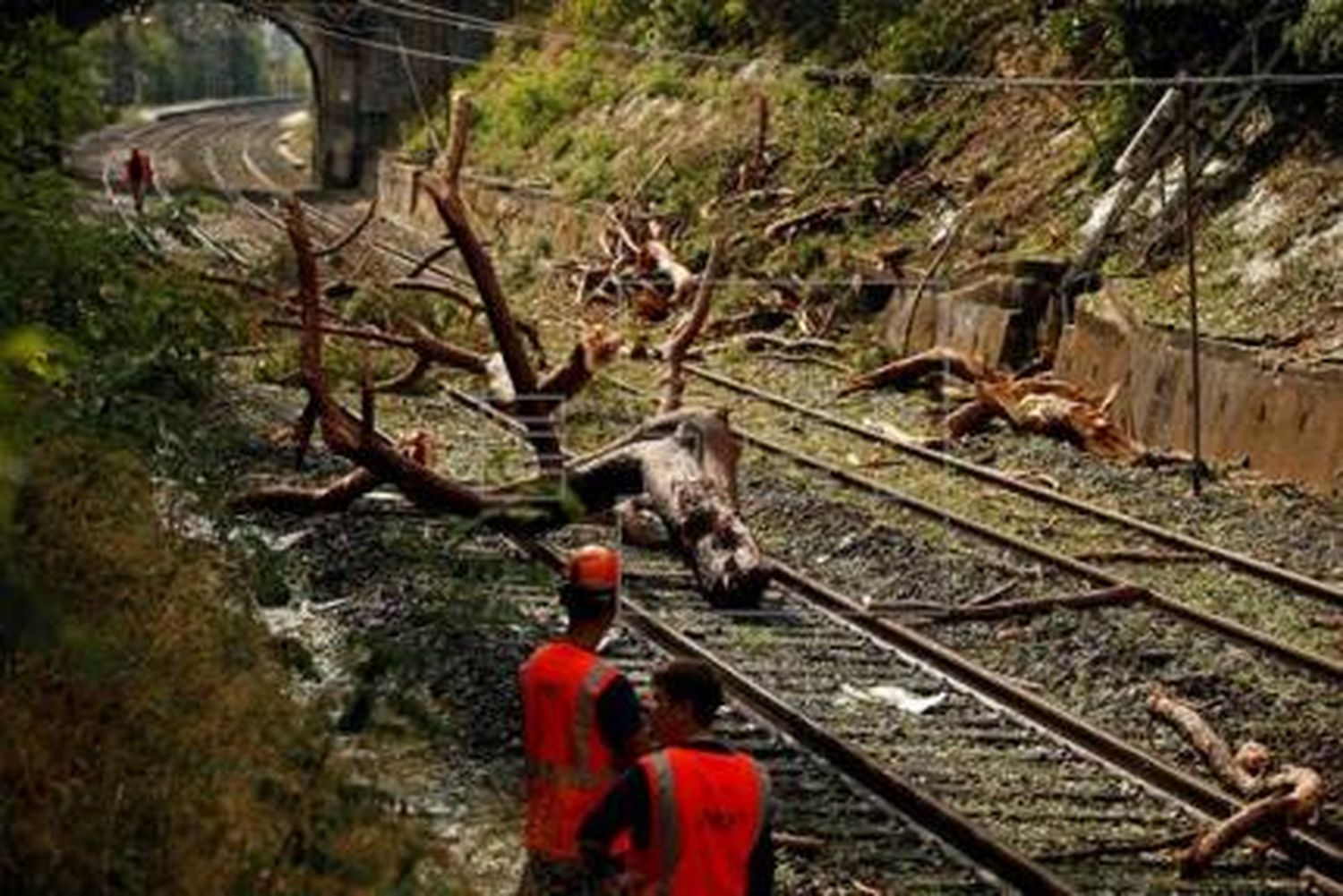 Accidente de tren en Francia deja decenas de heridos