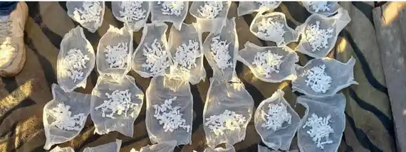 Roncaglia confirmó que hay “una decisión política de ir a fondo” en la lucha contra el narcotráfico