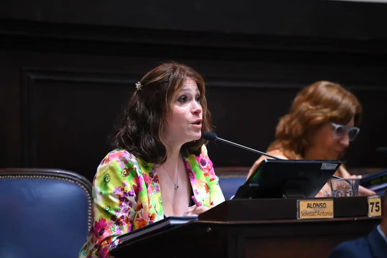 Soledad Alonso, diputada provincial y adjunta del Sindicato del ANSES.