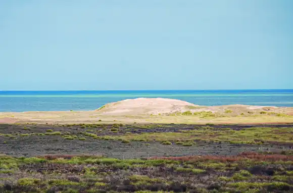 Paredi: "Soy el primer defensor de que CELPA se transforme en Parque Nacional y sea un territorio dedicado al medio ambiente"