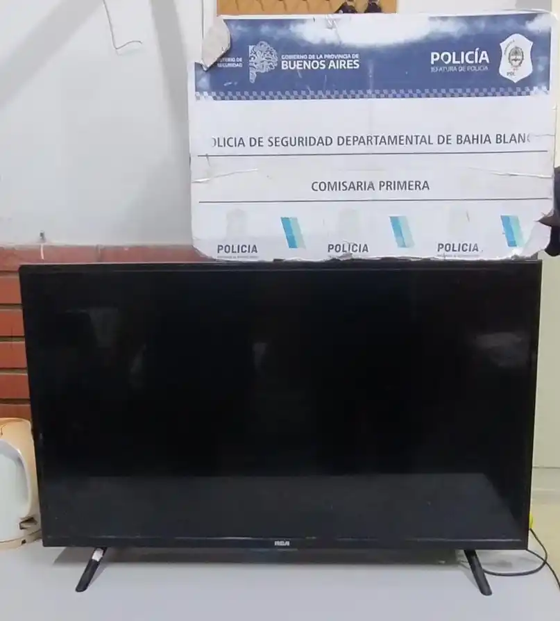 La TV que se llevó en colectivo