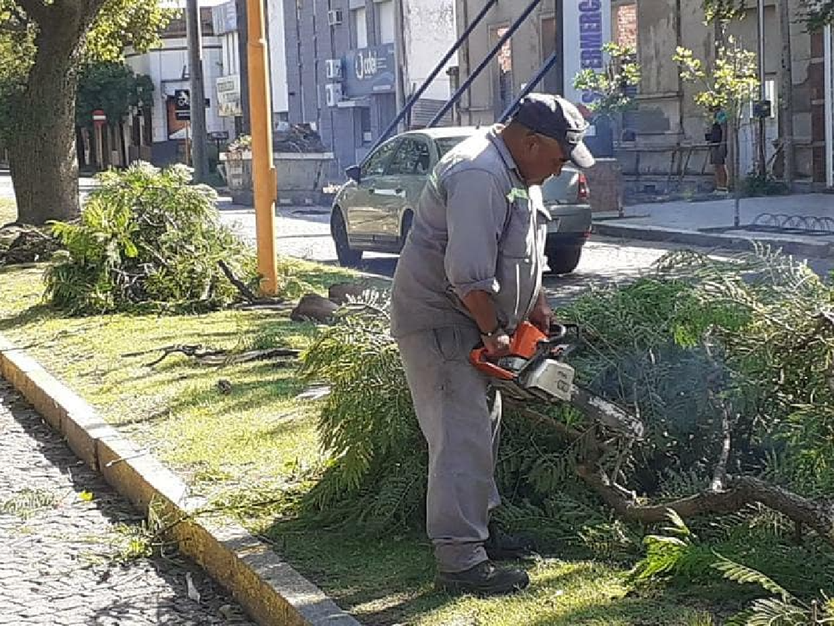 Salvático: “Activamos un rápido protocolo para brindar una respuesta eficiente ante tormentas”