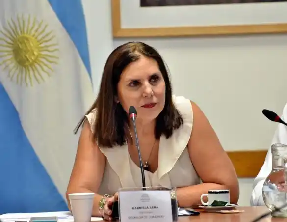 La diputada Gabriela Lena presentó varios proyectos culturales