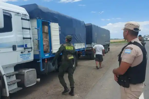 Detención en la Ruta 34: el conductor de un camión trasladaba medicamentos sin aval aduanero