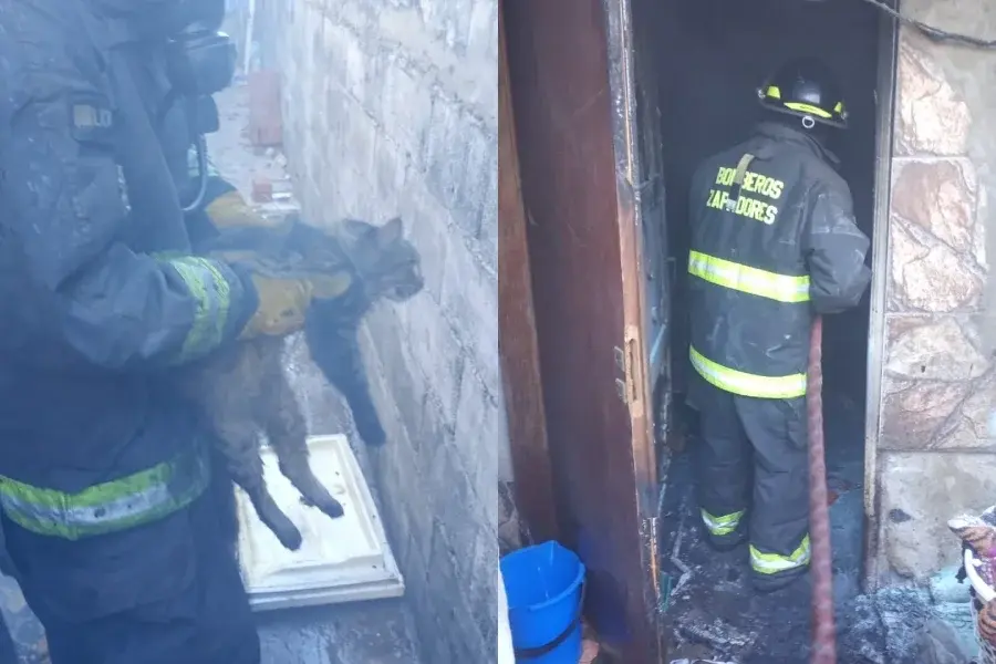 Bomberos rescataron a tres mascotas de un incendio en barrio Belgrano