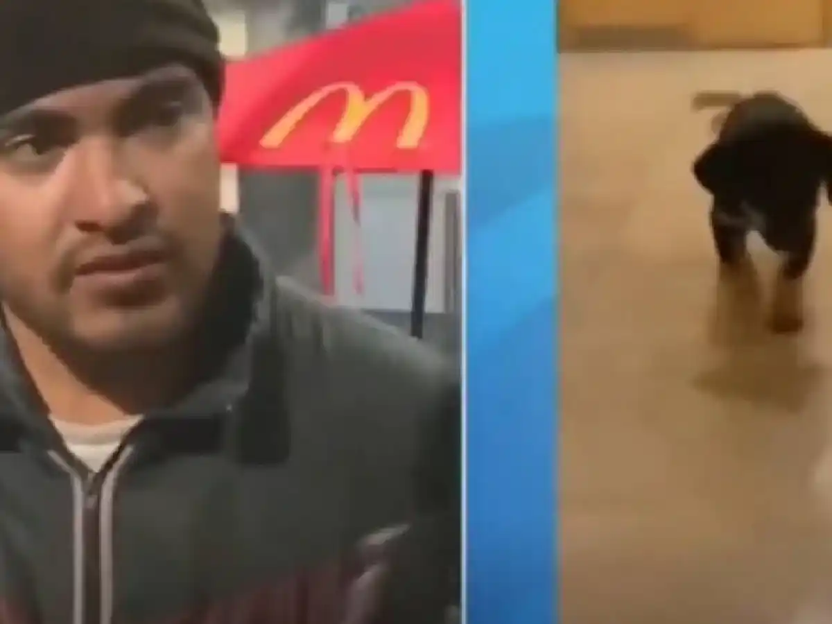 Una joven le robó el perro a un indigente, pidió ayuda económica en redes sociales y la escracharon