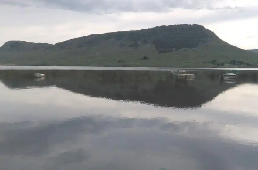 Aconsejan no consumir peces de la laguna La Brava
