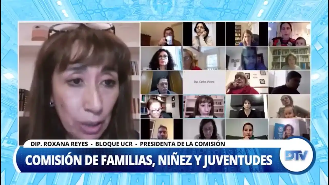 Diputados analizó los desafíos para la niñez post pandemia