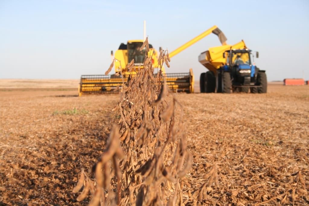 Una propuesta de capacitación en agronegocios diseñada para la región