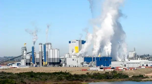 Lo que pasó con el medio ambiente en la región según la óptica de Fundavida