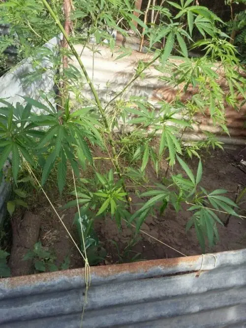 Tras amenazarlo de muerte con un cuchillo, lo hirió de un balazo