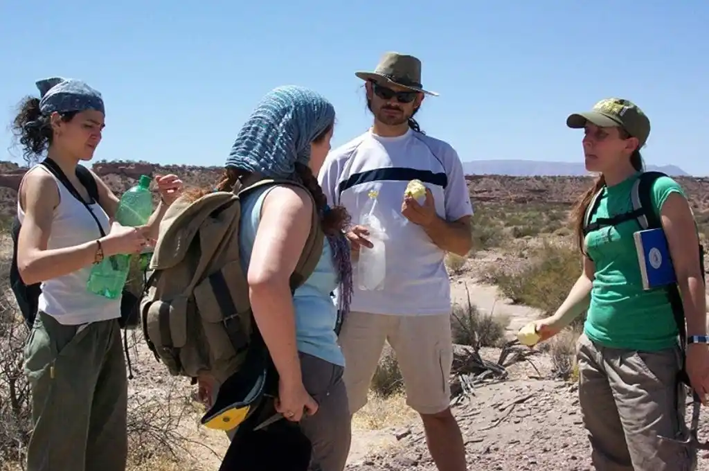 Hallan una nueva especie de rincosaurio de 230 millones de años de antigüedad