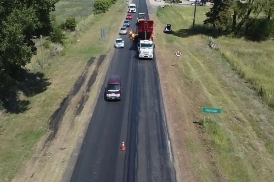 Plantarán más de 1.500 árboles en la “Ruta Segura”